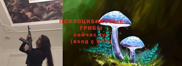 мяу мяу кристалл Богданович