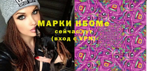 mix Богородицк