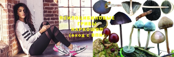 спиды Надым