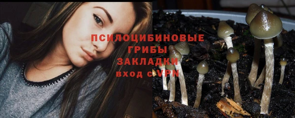 МДПВ Аша