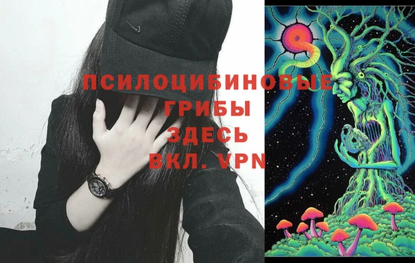 apvp Навашино