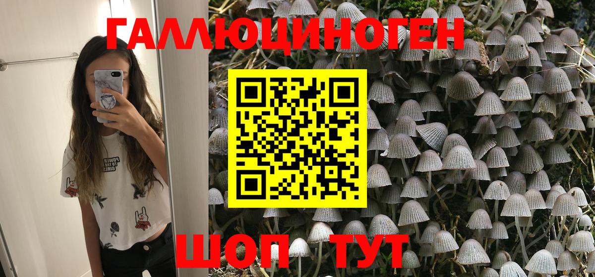 Галлюциногенные грибы MAGIC MUSHROOMS Череповец