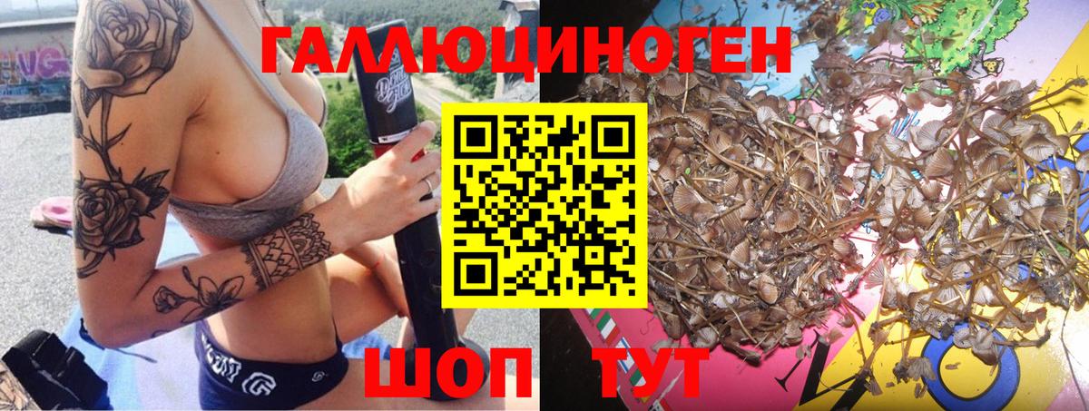 Галлюциногенные грибы мицелий  Череповец  Галлюциногенные грибы Psilocybine cubensis 