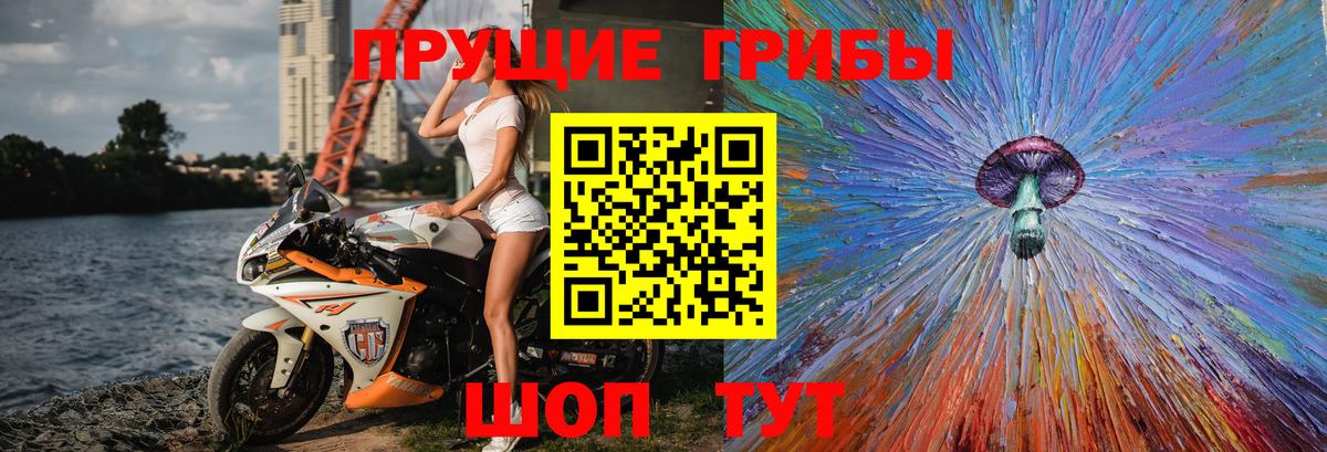 Псилоцибиновые грибы мицелий Череповец